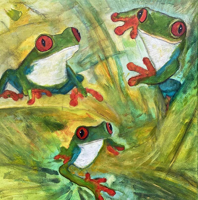 Hopping With Happiness Red-Eyed Tree Frog Acrylic Painting by Red, 24"x 24", Gallery Wrap Canvas