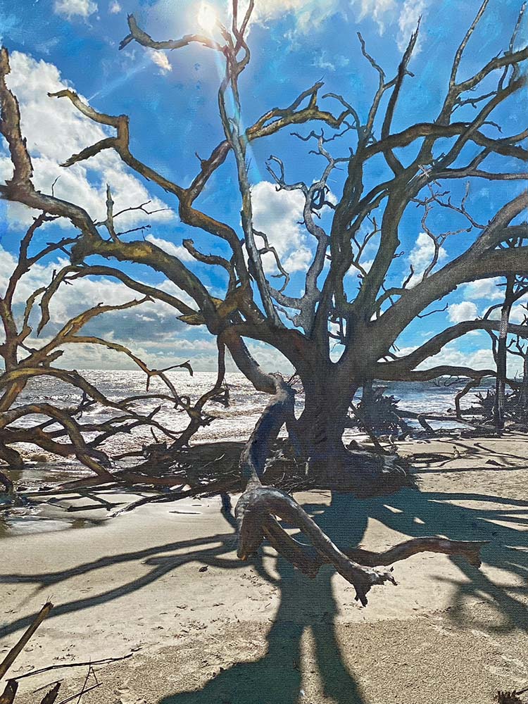 Driftwood Tangle Mixed Media Artwork - Photo art and acrylic on gallery wrap canvas 24x18