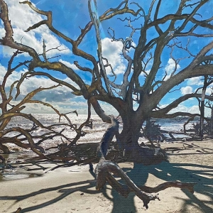 Driftwood Tangle Mixed Media Artwork - Photo art and acrylic on gallery wrap canvas 24x18